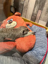 アクアテラス錦ケ丘に投稿された画像（2026/7/24）
