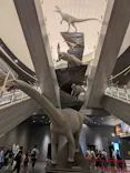 福井県立恐竜博物館に投稿された画像（2026/7/24）