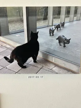尾道市立美術館に投稿された画像（2026/7/24）