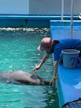 ゼロ距離水族館 伊勢シーパラダイスに投稿された画像（2026/7/24）