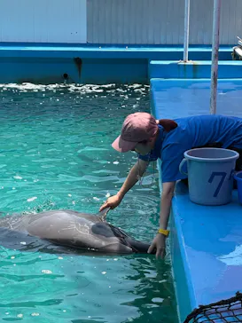 ゼロ距離水族館 伊勢シーパラダイスに投稿された画像（2026/7/24）