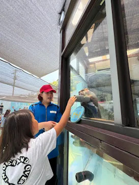 ゼロ距離水族館 伊勢シーパラダイスに投稿された画像（2026/7/24）