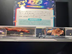 サンシャイン水族館に投稿された画像（2026/7/24）