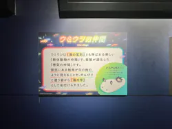 サンシャイン水族館に投稿された画像（2026/7/24）