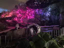 サンシャイン水族館に投稿された画像（2026/7/24）