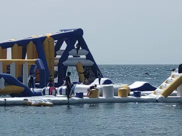 AQuaLooP マリンアドベンチャーin 和歌山片男波に投稿された画像（2026/7/24）