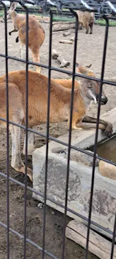 あらかわ遊園に投稿された画像（2026/7/25）