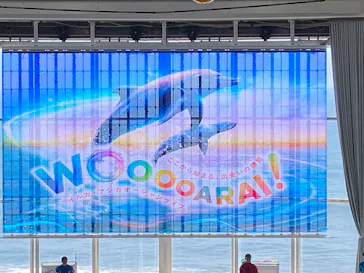 アクアワールド茨城県大洗水族館に投稿された画像（2026/7/25）