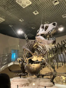 国立科学博物館に投稿された画像（2026/7/25）