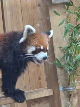 名古屋市東山動植物園に投稿された画像（2026/7/25）