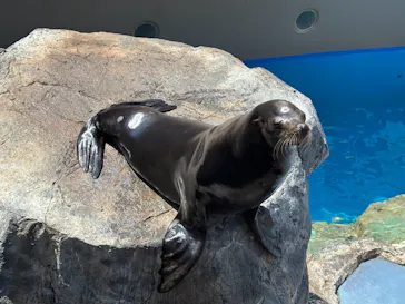 アクアワールド茨城県大洗水族館に投稿された画像（2026/7/25）