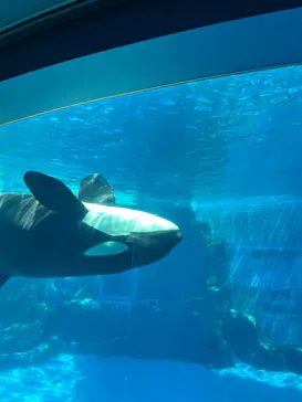 名古屋港水族館に投稿された画像（2026/7/25）
