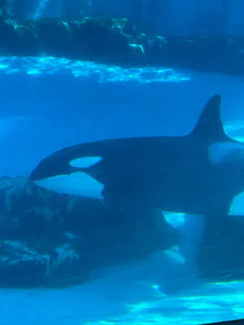 名古屋港水族館に投稿された画像（2026/7/25）