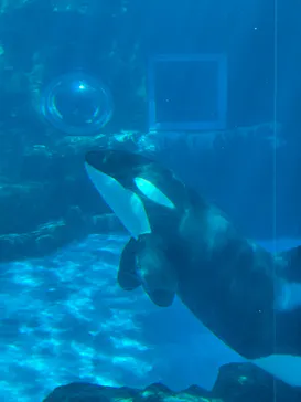 名古屋港水族館に投稿された画像（2026/7/25）