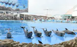 名古屋港水族館に投稿された画像（2026/7/25）