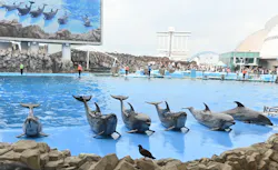 名古屋港水族館に投稿された画像（2026/7/25）
