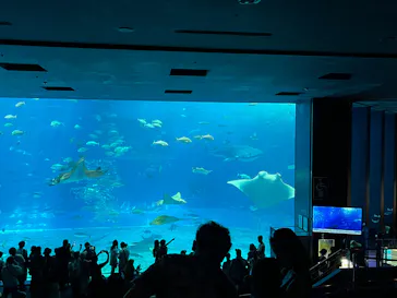 沖縄美ら海水族館に投稿された画像（2026/7/25）