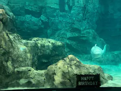 名古屋港水族館に投稿された画像（2026/7/25）