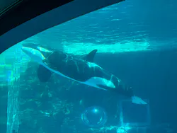 名古屋港水族館に投稿された画像（2026/7/25）