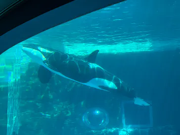 名古屋港水族館に投稿された画像（2026/7/25）