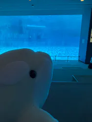 名古屋港水族館に投稿された画像（2026/7/25）