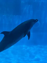 名古屋港水族館に投稿された画像（2026/7/25）