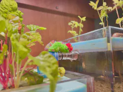 しながわ水族館に投稿された画像（2026/7/25）