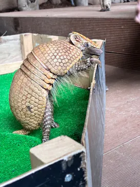 カワスイ 川崎⽔族館に投稿された画像（2026/7/25）