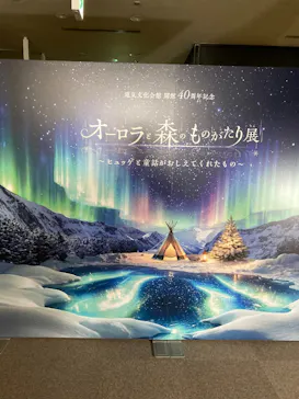 オーロラと森のものがたり展 　～ヒュッゲと童話がおしえてくれたもの～に投稿された画像（2026/7/25）