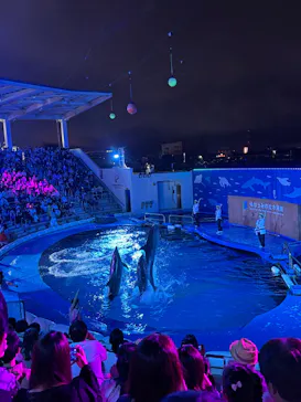 仙台うみの杜水族館に投稿された画像（2026/7/25）