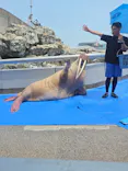 大分マリーンパレス水族館 「うみたまご」に投稿された画像（2026/7/25）