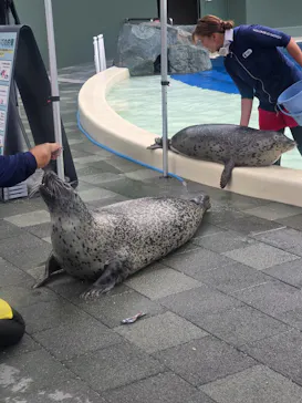 大分マリーンパレス水族館 「うみたまご」に投稿された画像（2026/7/25）