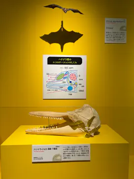 特別展「いきもの超ワールド展　国立科学博物館×ダーウィンが来た！」（国立科学博物館）に投稿された画像（2026/7/25）