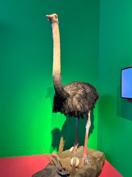 特別展「いきもの超ワールド展　国立科学博物館×ダーウィンが来た！」（国立科学博物館）に投稿された画像（2026/7/25）