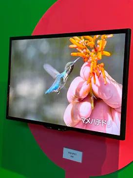 特別展「いきもの超ワールド展　国立科学博物館×ダーウィンが来た！」（国立科学博物館）に投稿された画像（2026/7/25）