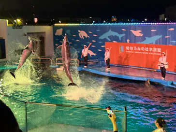 仙台うみの杜水族館に投稿された画像（2026/7/25）