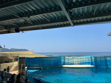 新江ノ島水族館に投稿された画像（2026/7/25）