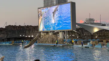 名古屋港水族館に投稿された画像（2026/7/25）