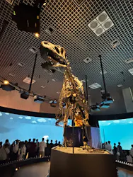 国立科学博物館に投稿された画像（2026/7/25）