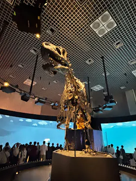 国立科学博物館に投稿された画像（2026/7/25）