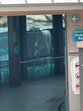天王寺動物園に投稿された画像（2026/7/25）