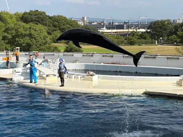 京都水族館に投稿された画像（2026/7/25）