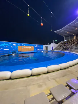 仙台うみの杜水族館に投稿された画像（2026/7/25）