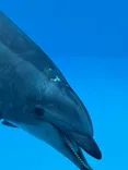 名古屋港水族館に投稿された画像（2026/7/26）