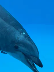名古屋港水族館に投稿された画像（2026/7/25）