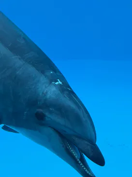 名古屋港水族館に投稿された画像（2026/7/25）
