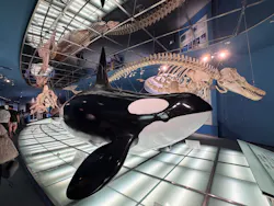 名古屋港水族館に投稿された画像（2026/7/25）