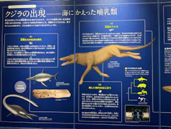 名古屋港水族館に投稿された画像（2026/7/25）