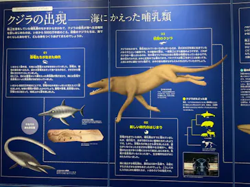 名古屋港水族館に投稿された画像（2026/7/25）