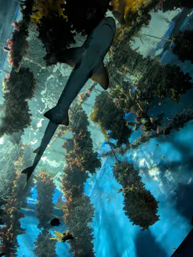 仙台うみの杜水族館に投稿された画像（2026/7/25）